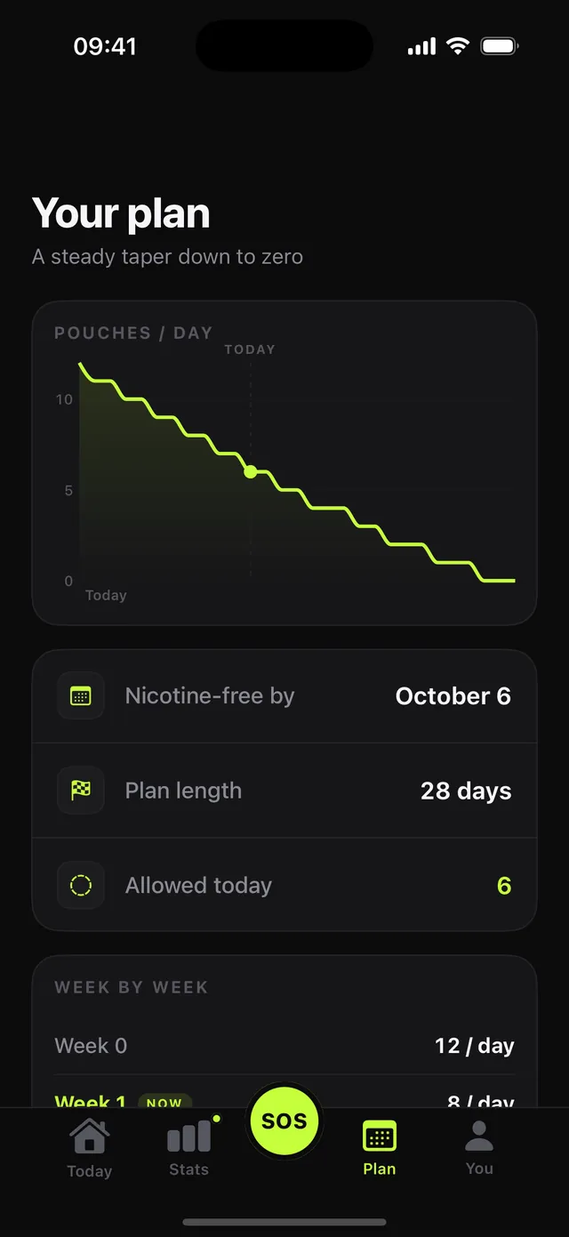 The plan screen: a pouches per day chart stepping down to zero, a nicotine-free date, the plan length, and the allowance for today.